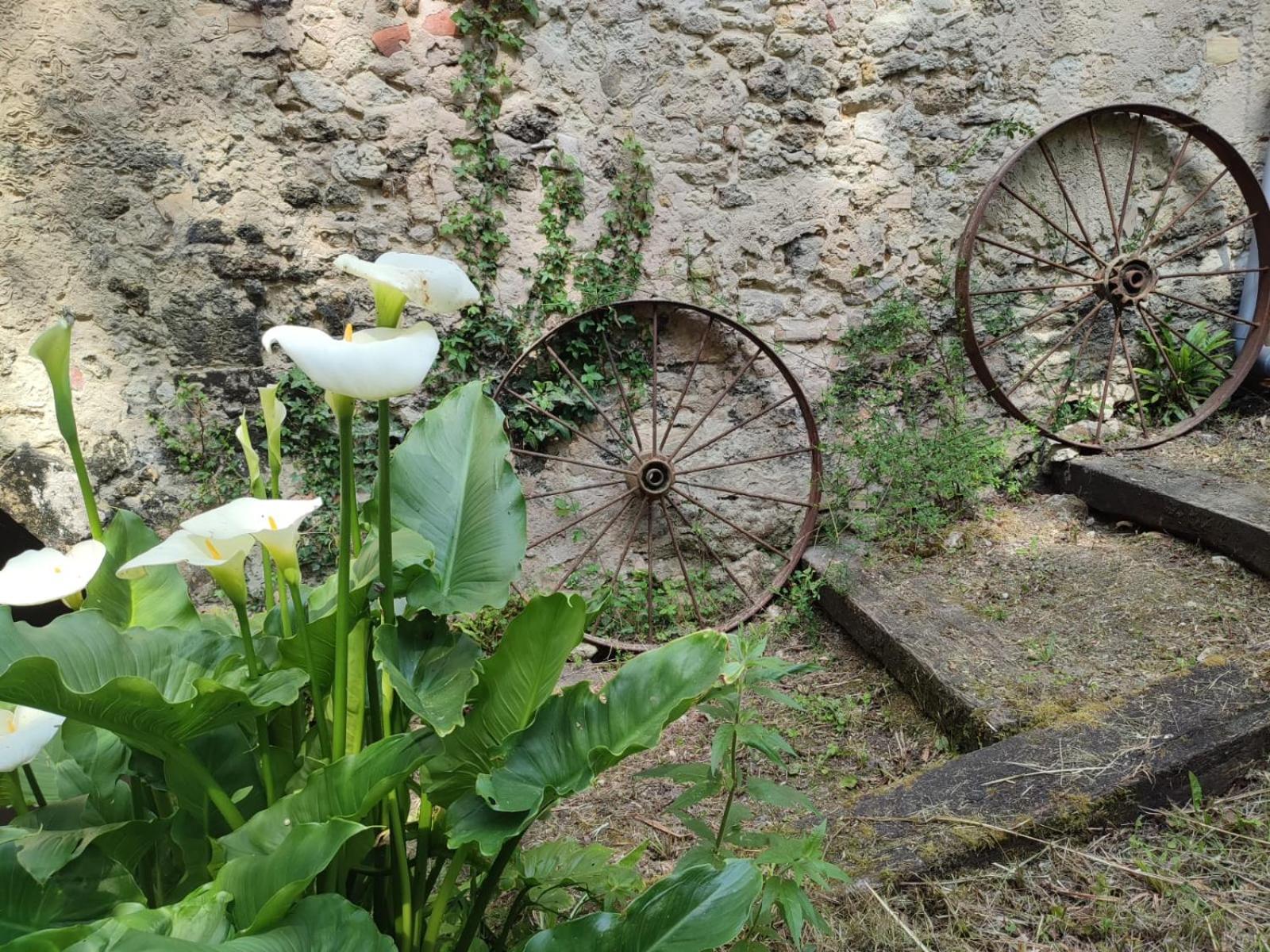 Chambre D'Hotes Le Moulin De Moulis Dış mekan fotoğraf